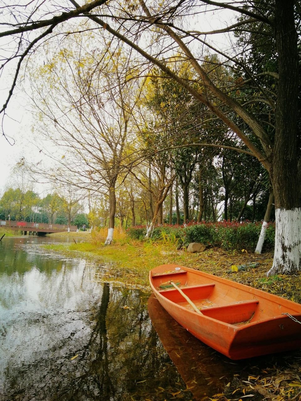洋湖