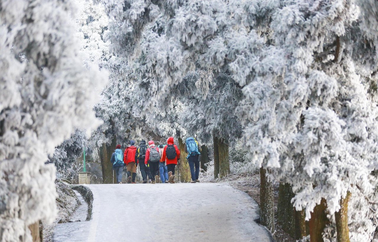 衡山雾凇 · 12—2 月的冰雪奇观