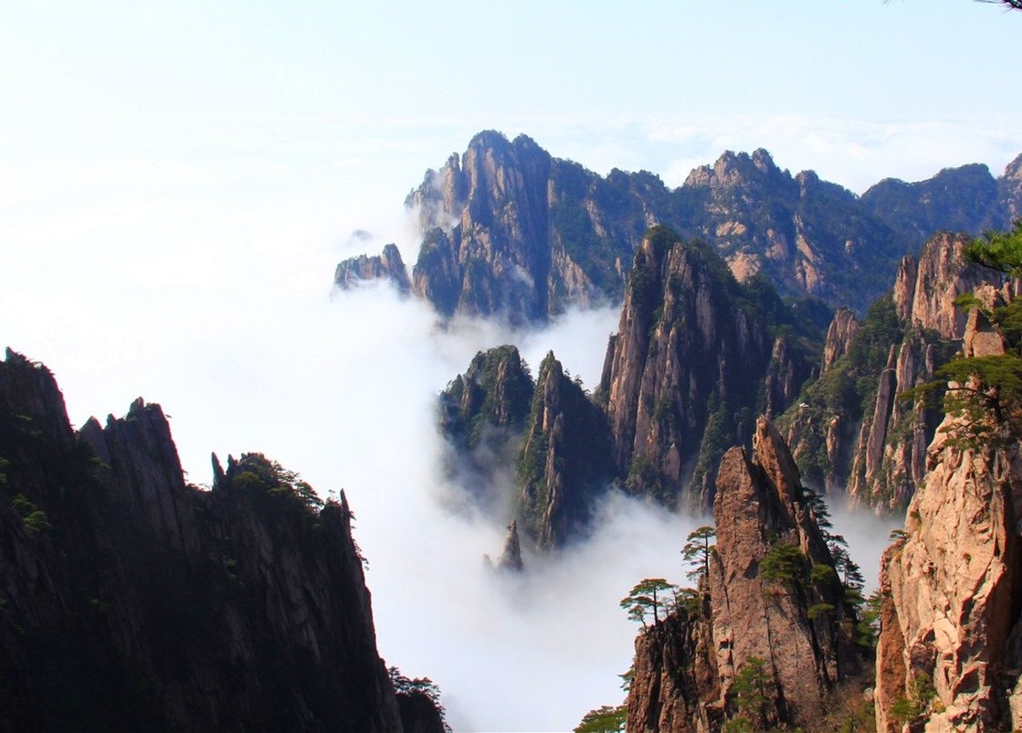 黄山云海 · 山峰从云中浮出
