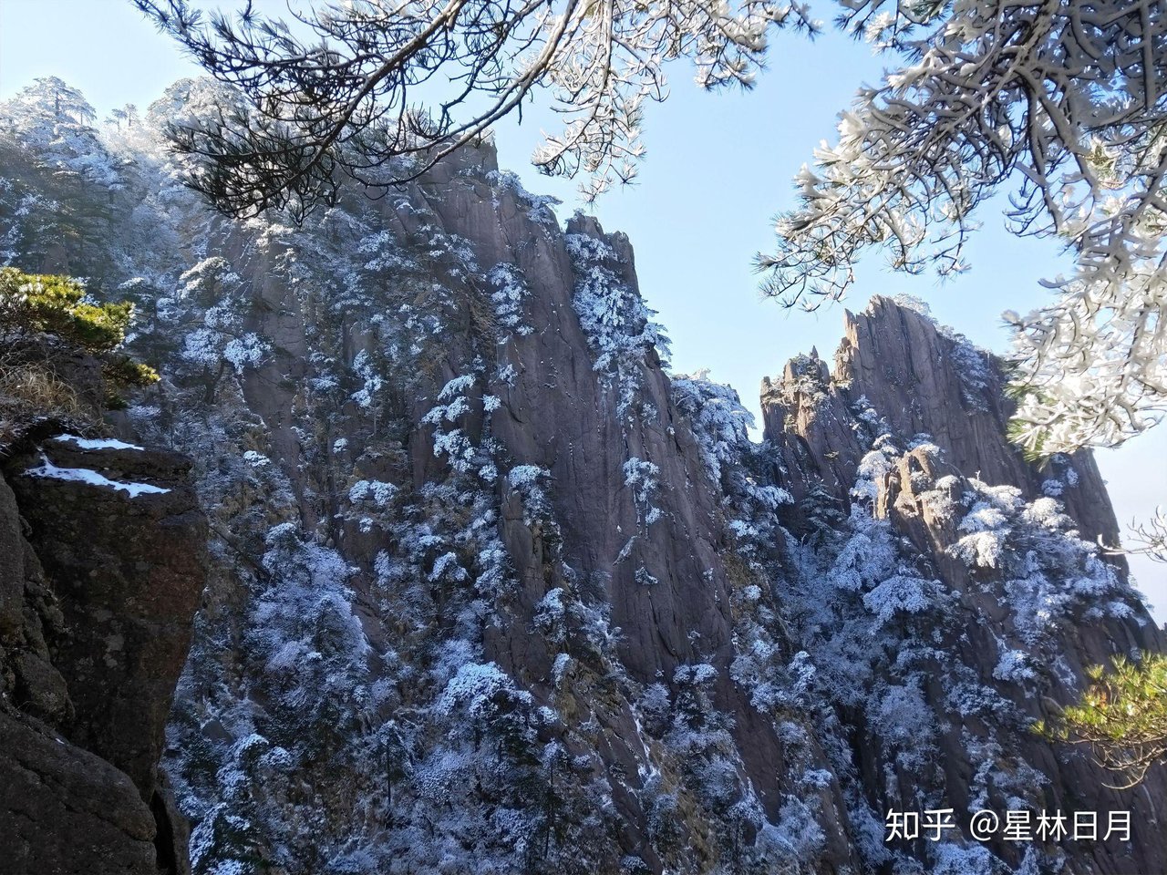 黄山冬雪 · 雾凇与冰挂