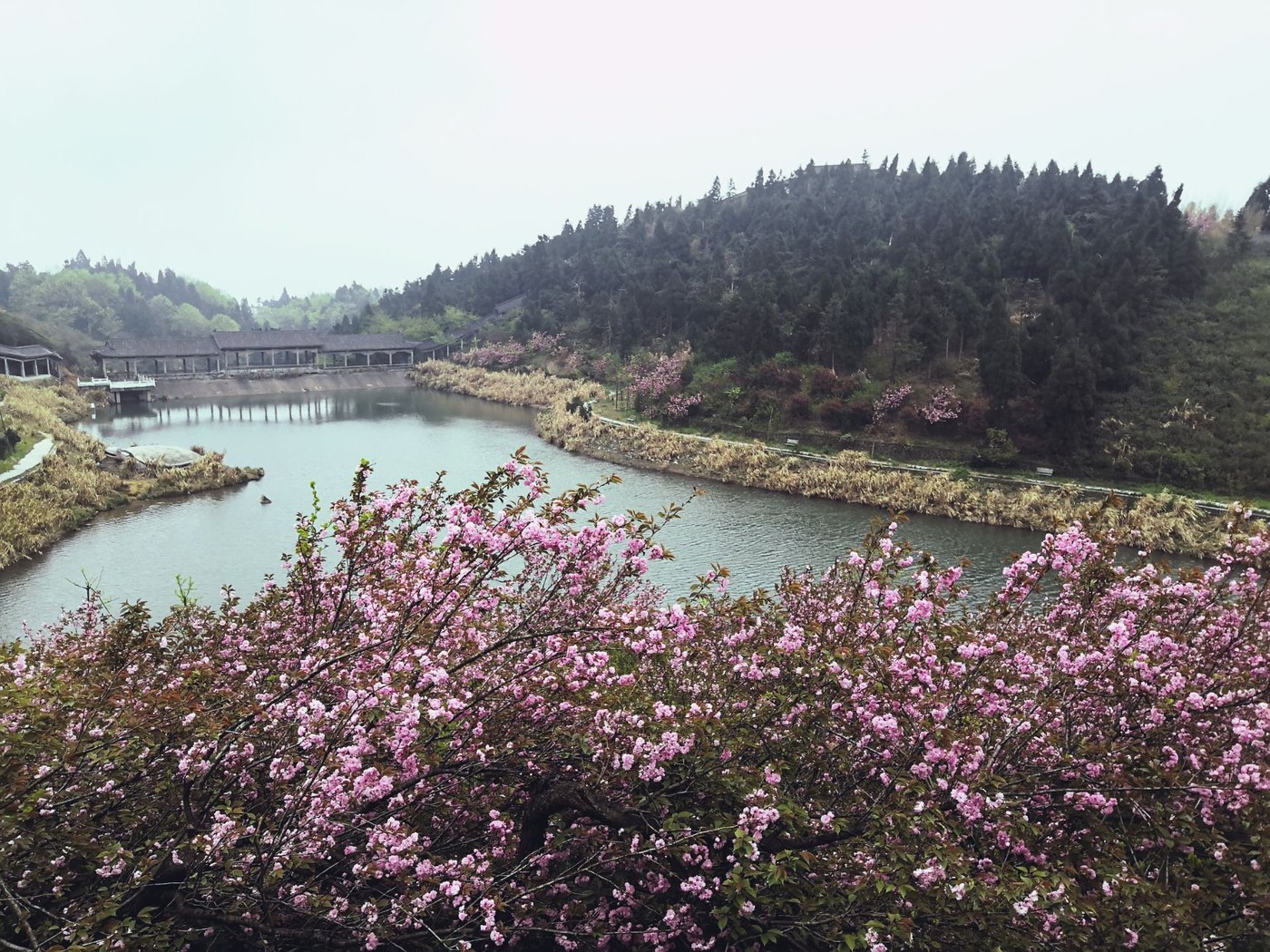 梅岭